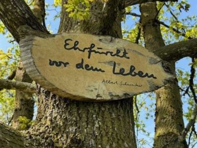 Miteinander in der Natur